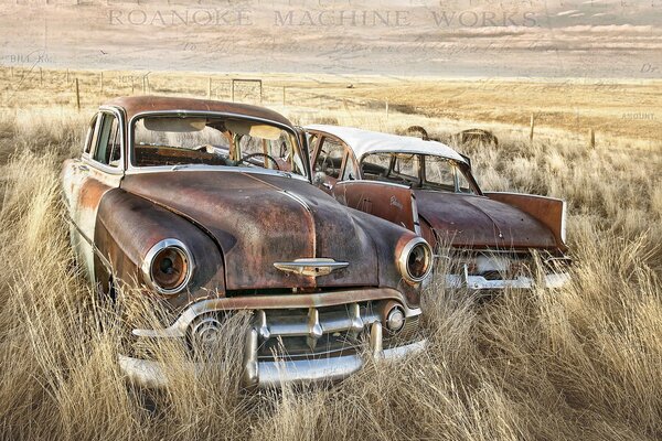 Two old cars are standing in a field