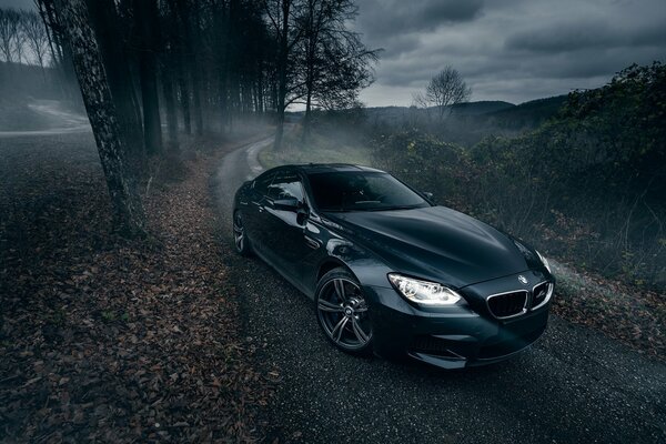 Bmw m6 едет по дороге вдоль лесополосы