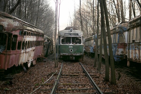 Flotta abbandonata di vecchi tram