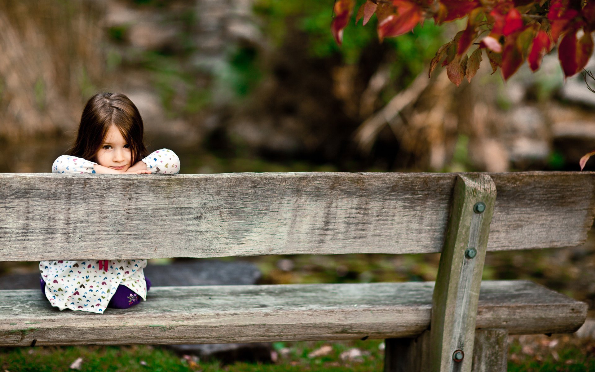 humeur enfants photo fille filles vue parc forêt sourire sourires sourire assis bancs banc bois planches yeux visage