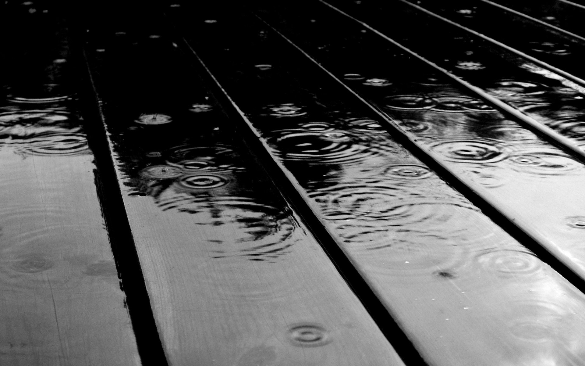 macro drop drop rain rain water board board