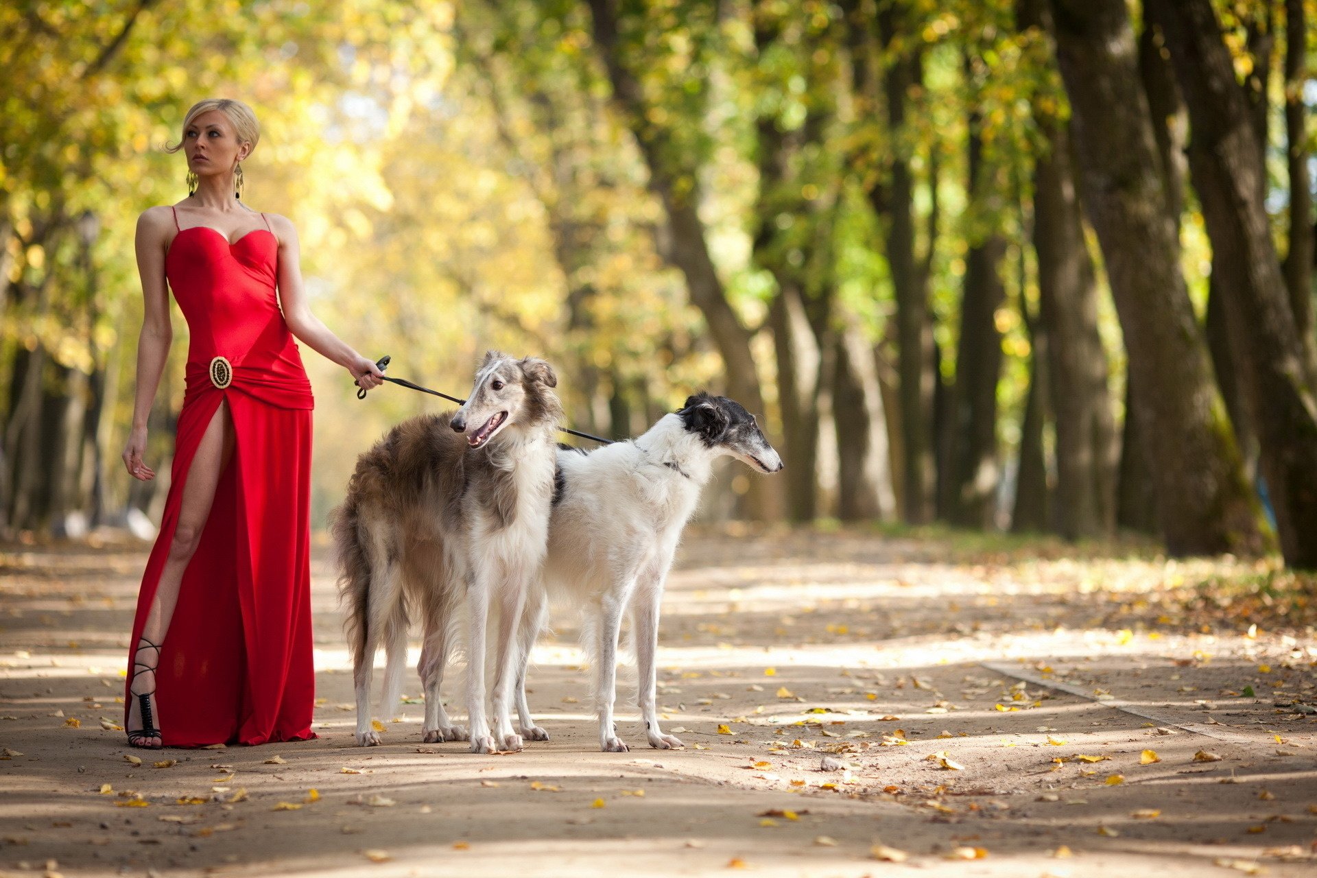 girl leg dog walk park blonde autumn leaves dogs red dress animals woof-woof-ry-ry fashion model