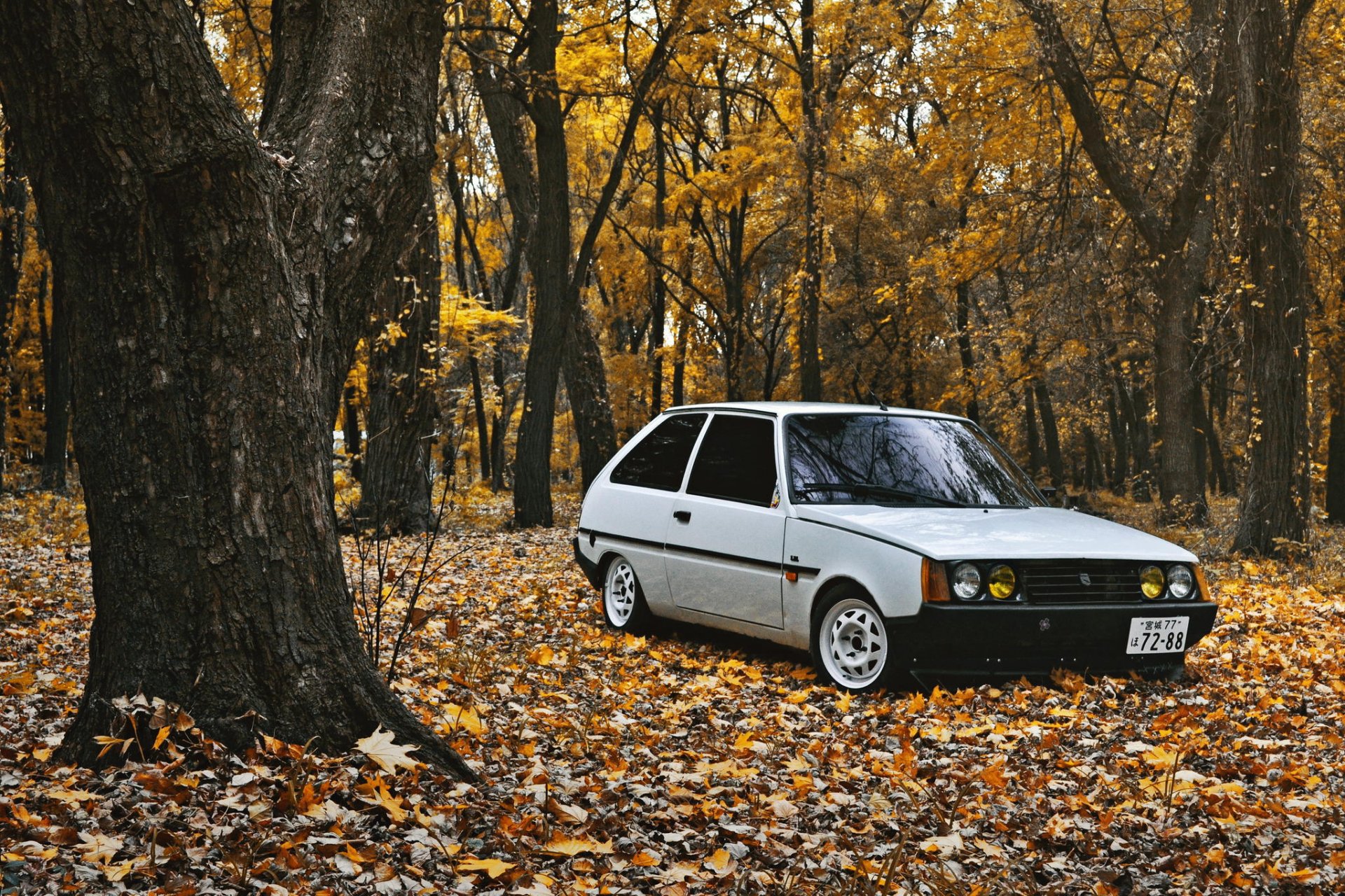 zaz 1102 tavria automne feuilles position