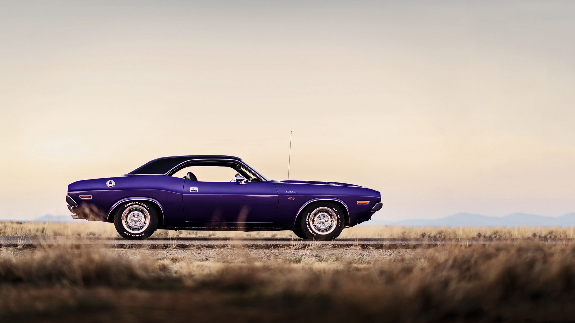 dodge challenger voiture de muscle casse-croûte de photographie