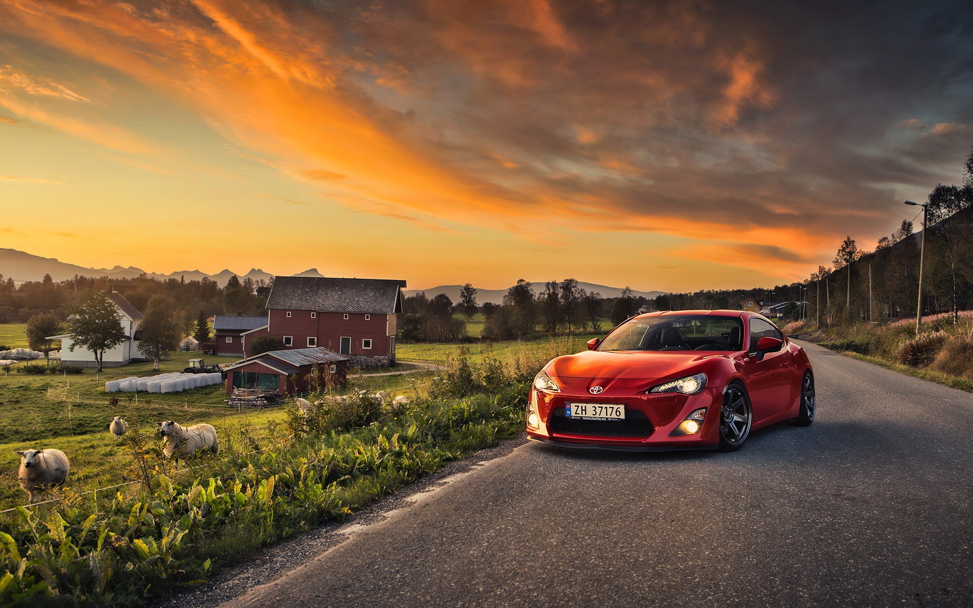 toyota gt86 voiture paysage moutons