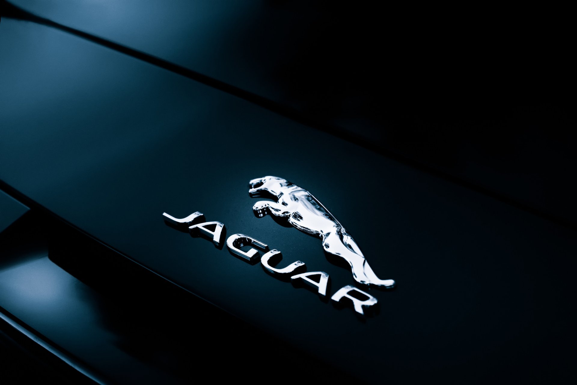 jaguar f-type convertibile distintivo posteriore targhetta