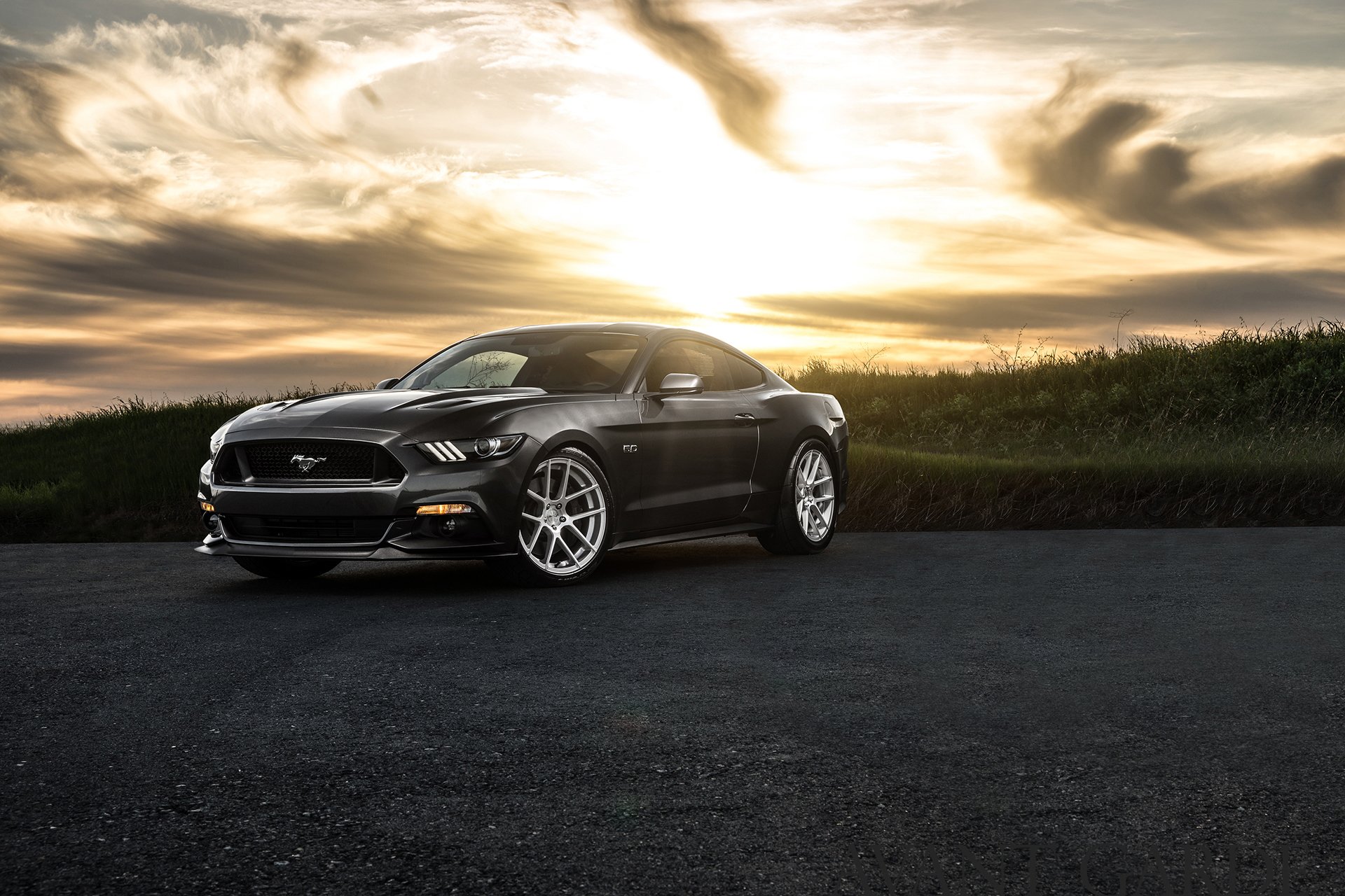 ford mustang 2015 avant gard ruedas puesta de sol músculo coche delantero