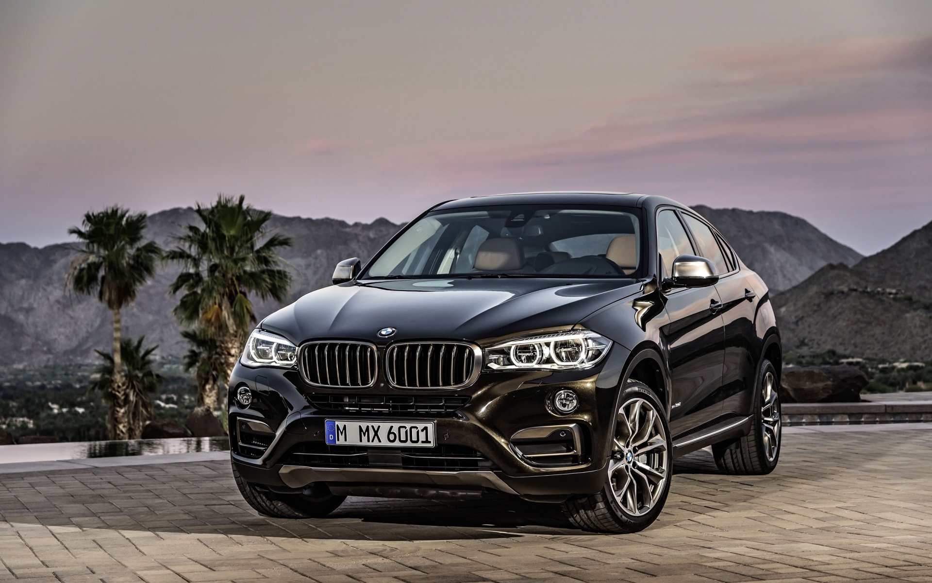 bmw x6 xdrive50i car suv jeep avtooboi