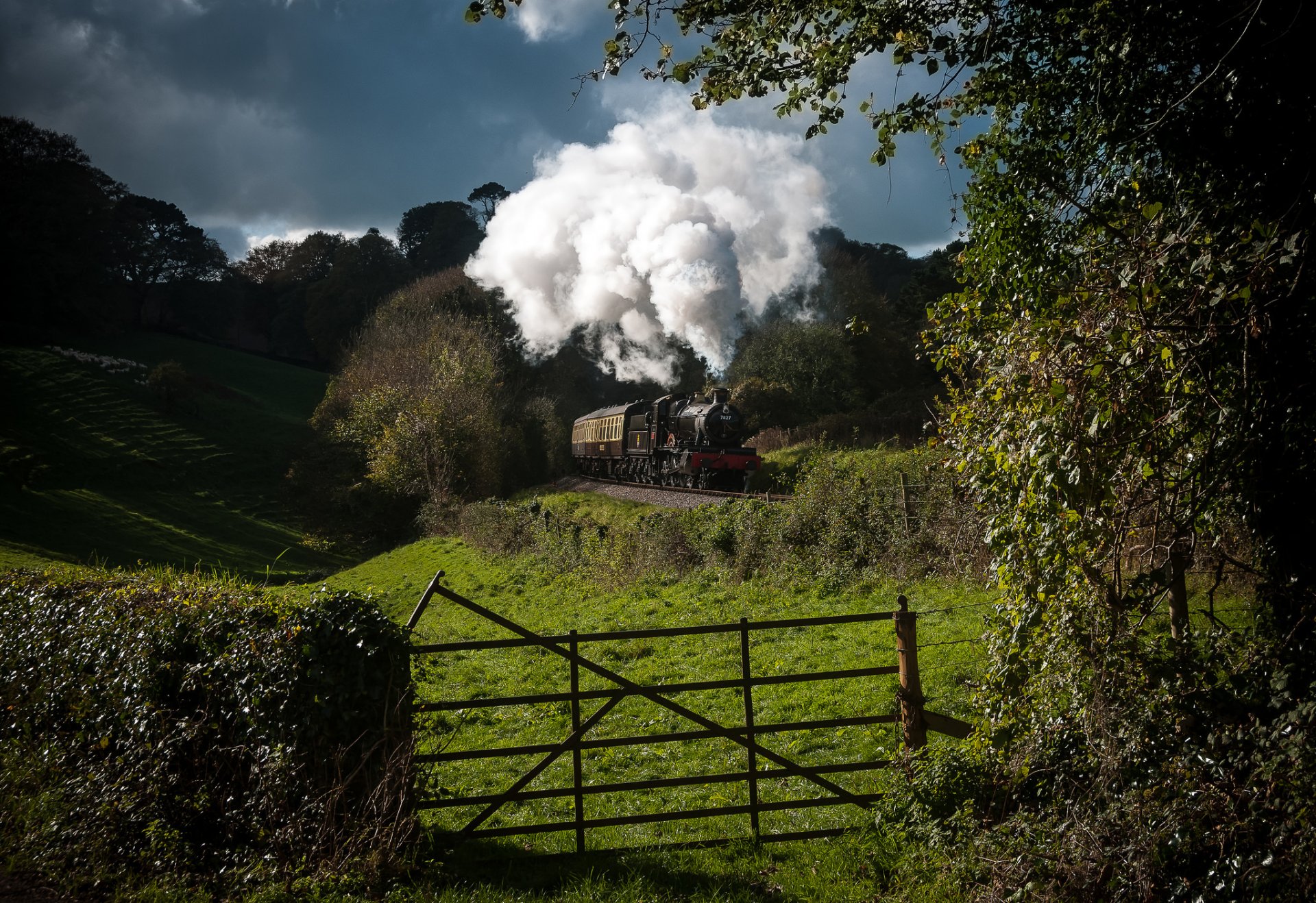 train locomotive à vapeur fumée wagons nature