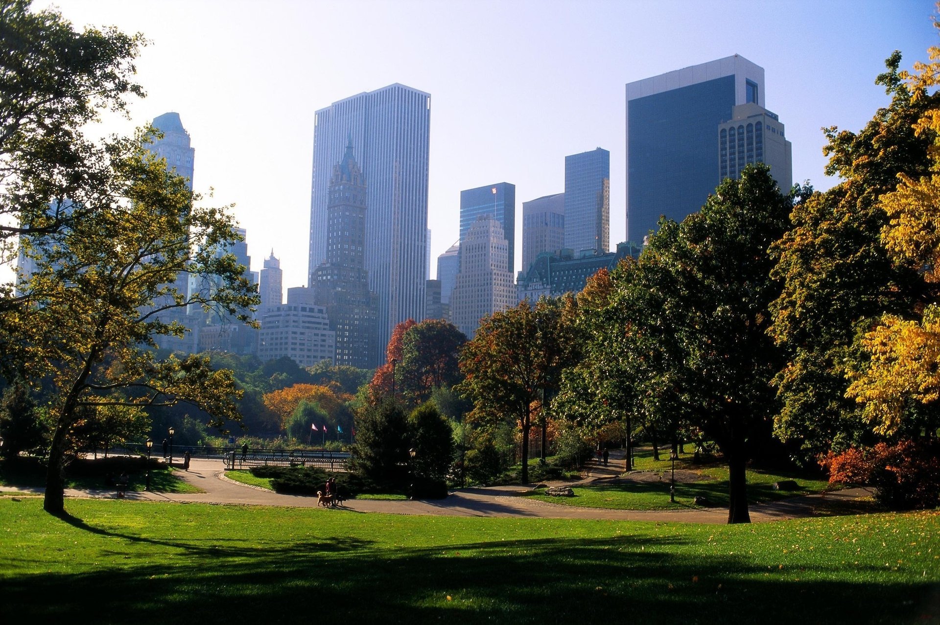 nueva york nueva york park parque árboles camino caminos ciudad ciudad usa américa verde césped