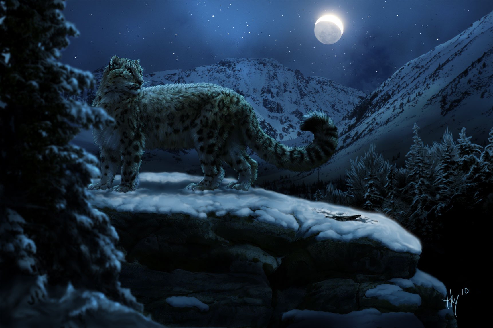 autor pintado leopardo nieve noche animales depredadores felinos nieve montañas crepúsculo