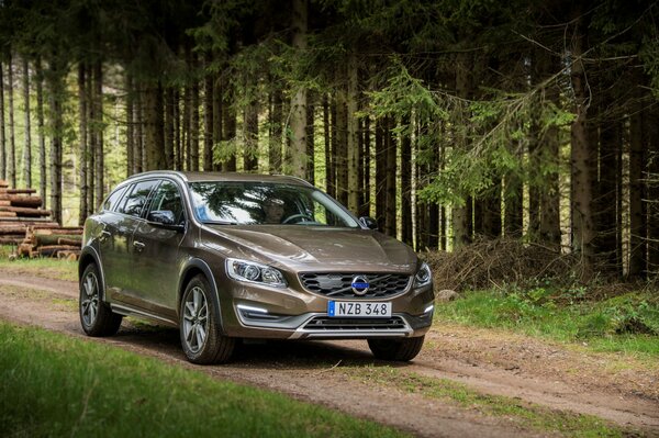 Volvo v60 2015 Schöne Straße im Wald