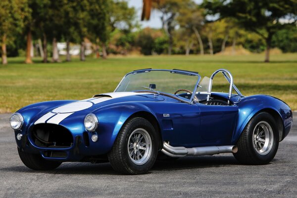 Blue and white retro convertible on the background of the park