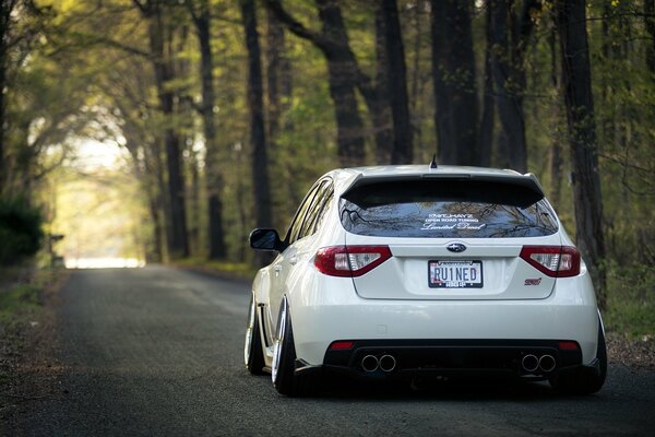 White subaru impreza on the road