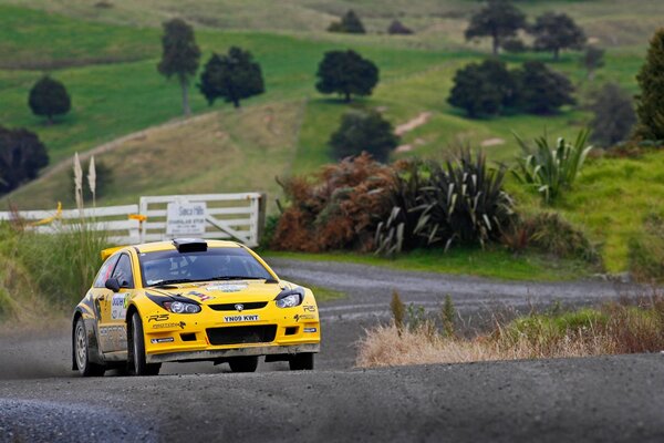 Coche deportivo amarillo en la carretera durante el Rally