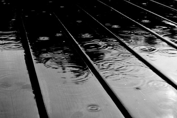 Beautiful wet road after rain