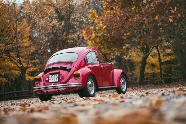 Pequeño coche rojo en un día de otoño