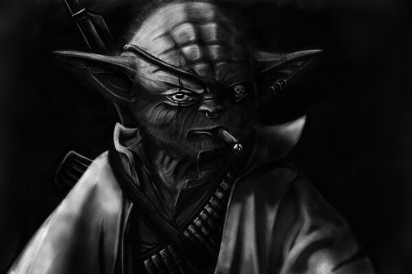 Fantastic transformation of Yoda into a pirate