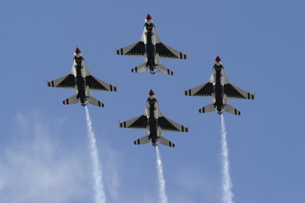 En el cielo aviones, aviones de combate, petreles