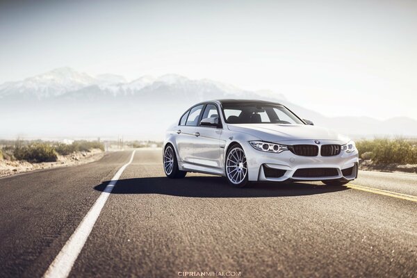 BMW M3 en el fondo de la carretera de asfalto