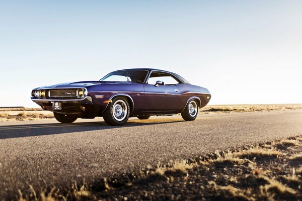 Photo of challenger on the track at sunset