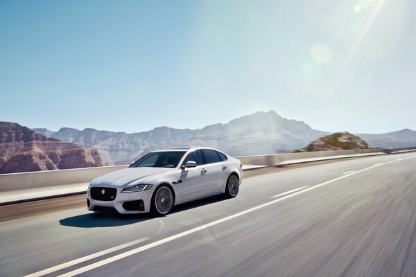 White jaguar rides on the road to the mountains