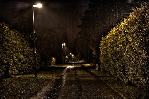 Night rain in the city by the light of lanterns