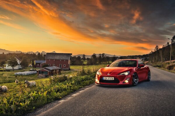 Roter Toyota auf der Straße. Schöne Landschaft mit Schafen und orangefarbenem Himmel