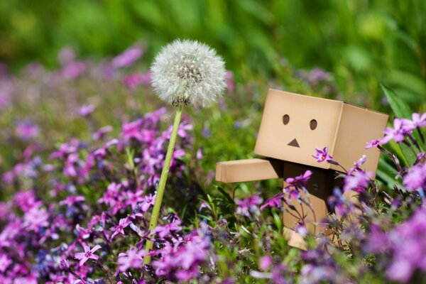 The man is a box and a dandelion. Pink flowers