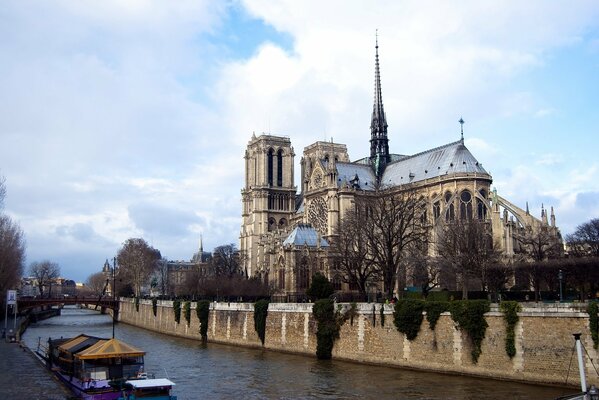 Cathédrale notre-dame de Paris sur fond de rivière