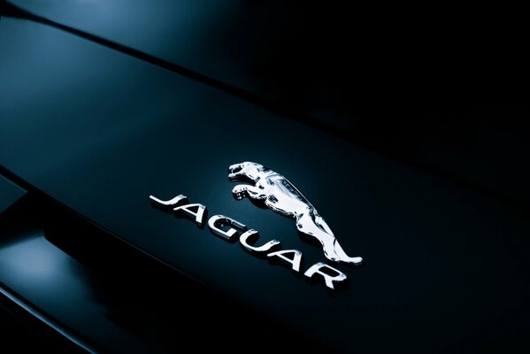 L insigne arrière et l inscription jaguar brillent sous l éclairage