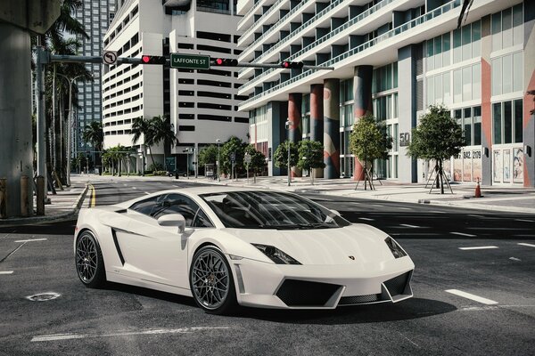 White lamborghini in the urban jungle