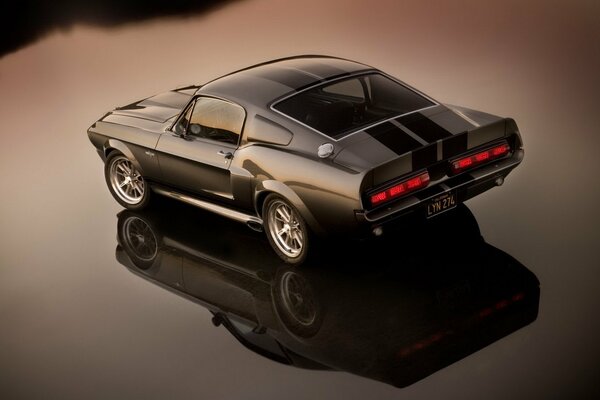 Mustang brun et son ombre