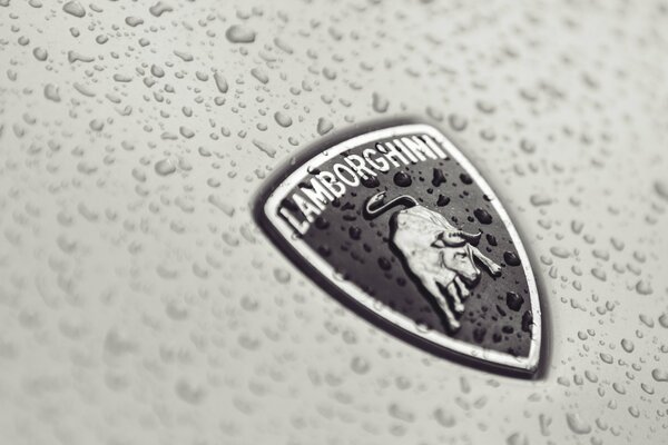 Lamborghini badge on a wet car