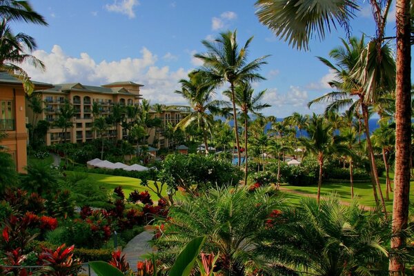 Palmen, Blumen, Hotel am Meer