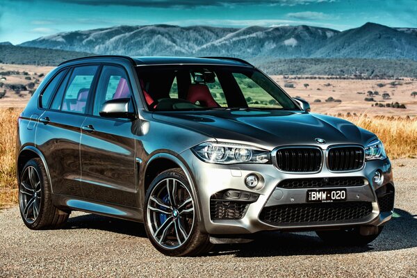 La meilleure voiture du genre bmw x5