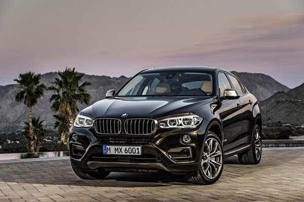 Samochód BMW X6 stoi na tle góry