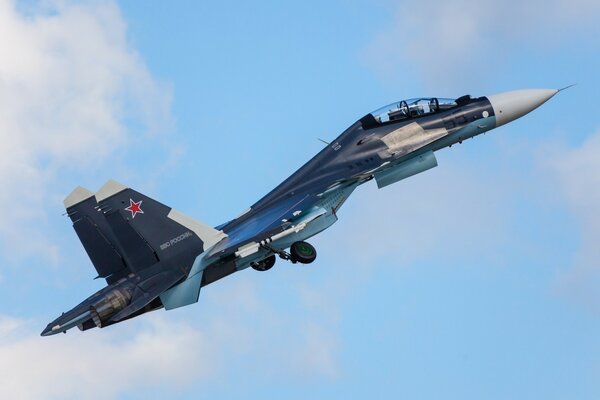 Avion double polyvalent su-30cm sur fond de ciel