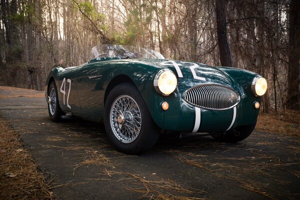 Автомобиль austin healey 100s 1955 г. в лесу