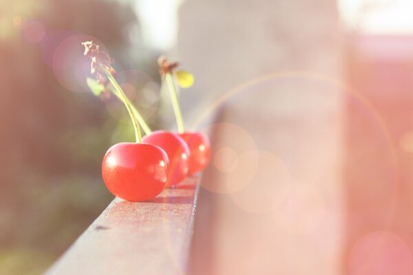 Cerise sur le balcon sous les rayons du soleil