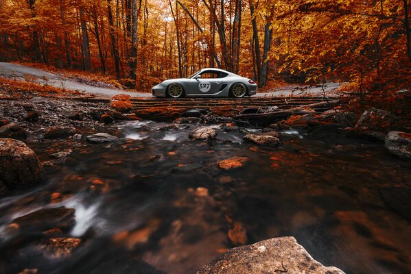 Srebrny Porsche Cayman na tle jesiennego pomarańczowego lasu