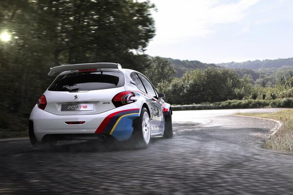 Peugeot 208 T16 auto sportiva che corre lungo la strada