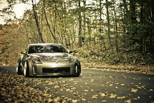 Belle voiture de sport grise sur la route d automne