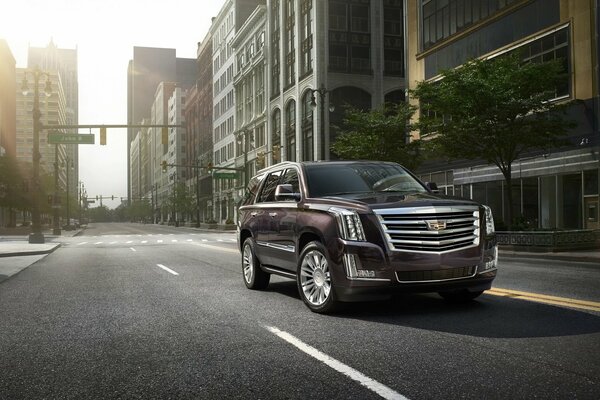 SUV cadillac escalade auto für die stadt