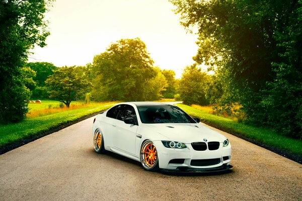 White BMW in a green park