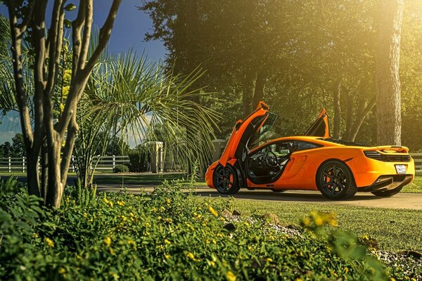 Dans la nature supercar orange, sur super roues