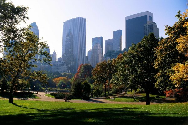 Parque verde en la ciudad americana - nueva York