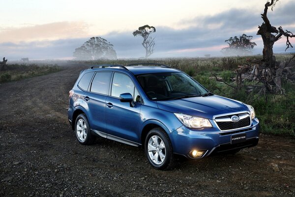 Синий глянцевый Subaru Forester на дороге