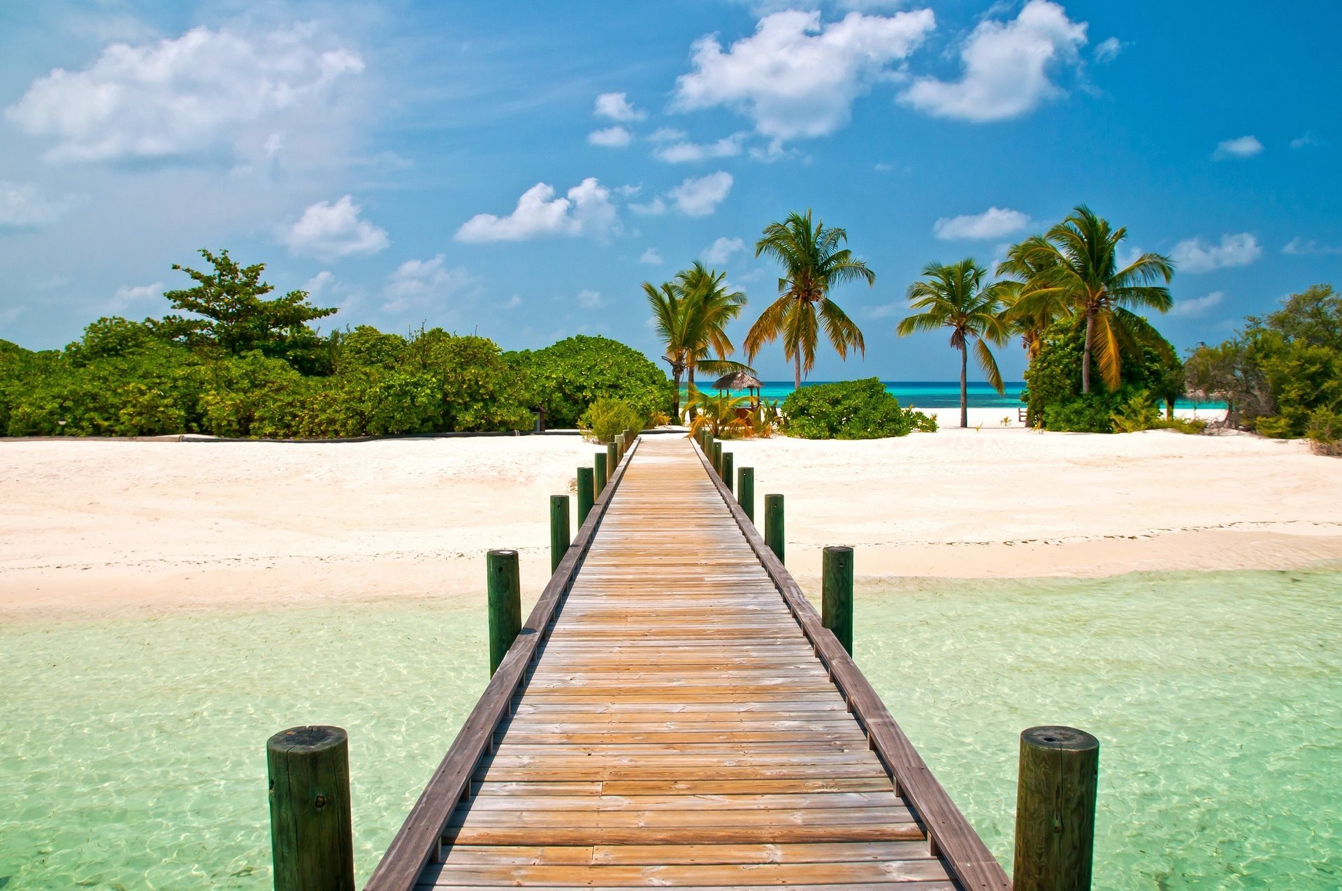 beau pontoon paysage plage île pont bleu ciel palmiers exotic