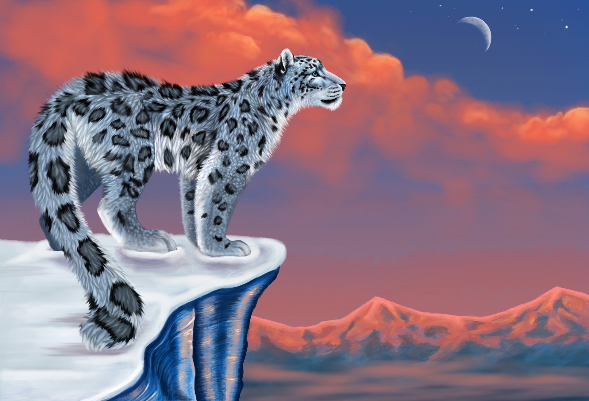 рисунок снег snow leopard снежный барс ирбис луна горы хищники взгляд